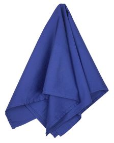 Big Accessories BA001 Solid Bandana (Color: ROYAL, size: OS)